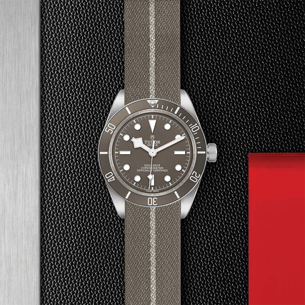 Black Bay 58 925 39mm - Taupe on Fabric Strap - Image 3