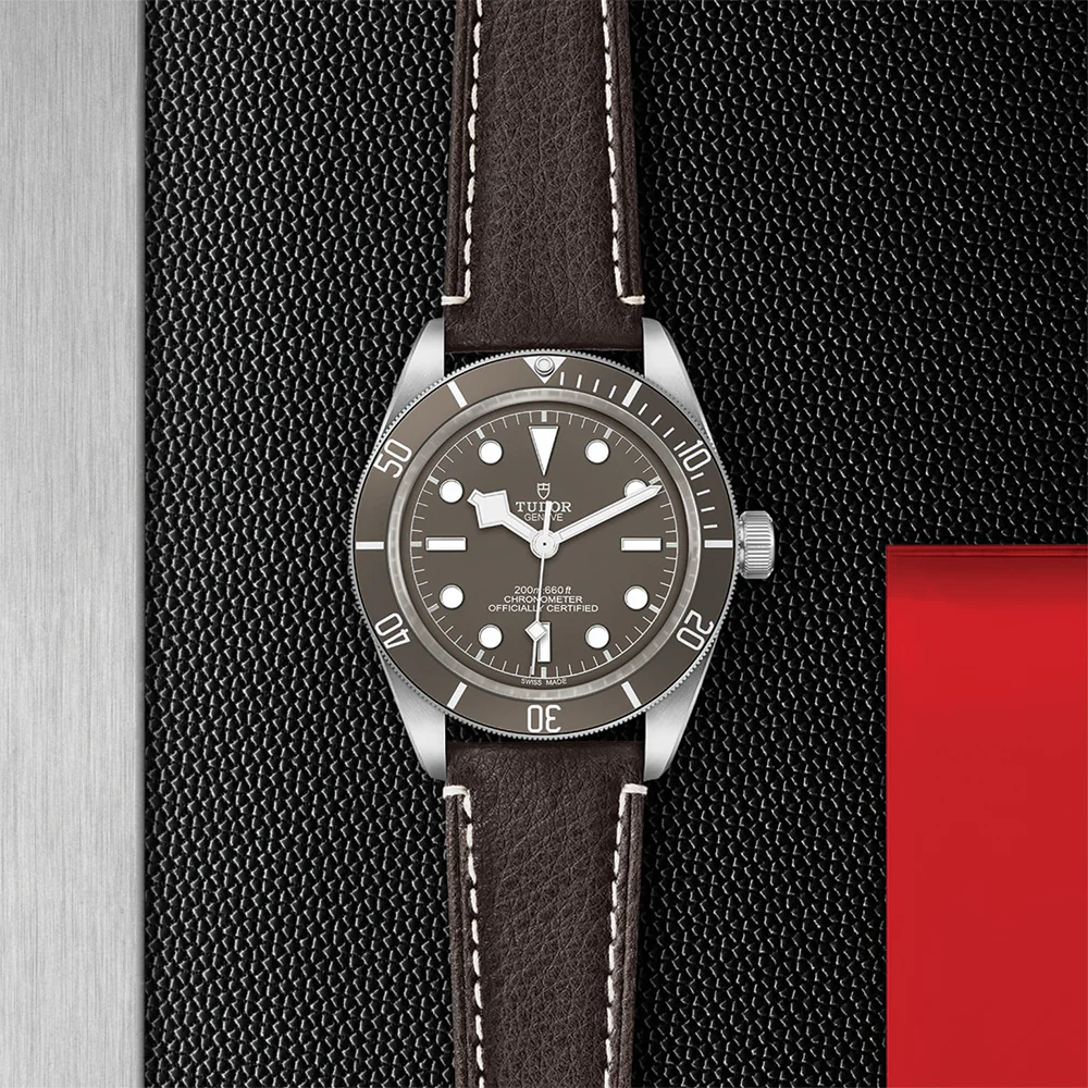 Black Bay 58 925 39mm - Taupe on Leather Strap - Image 2