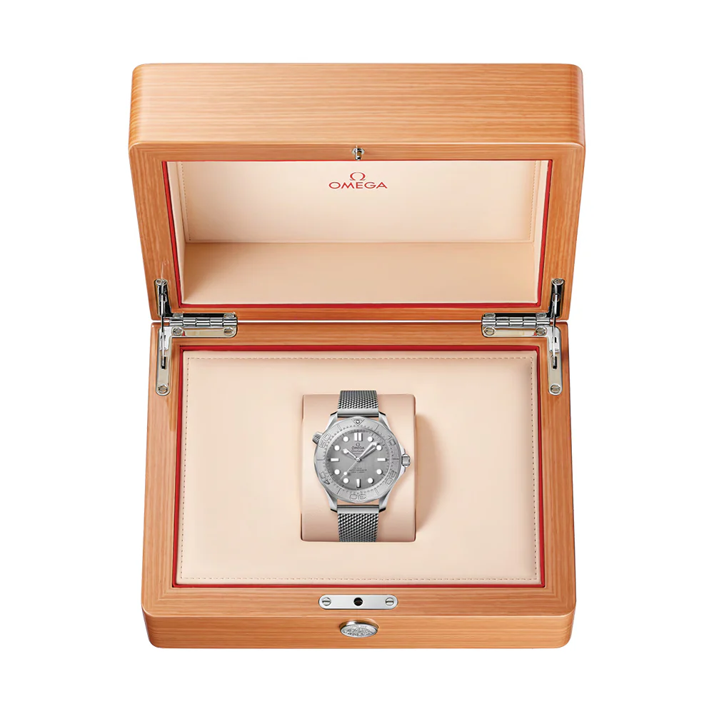 Seamaster Diver 300M Titanium Bezel 42mm - Grey on Bracelet - Image 6