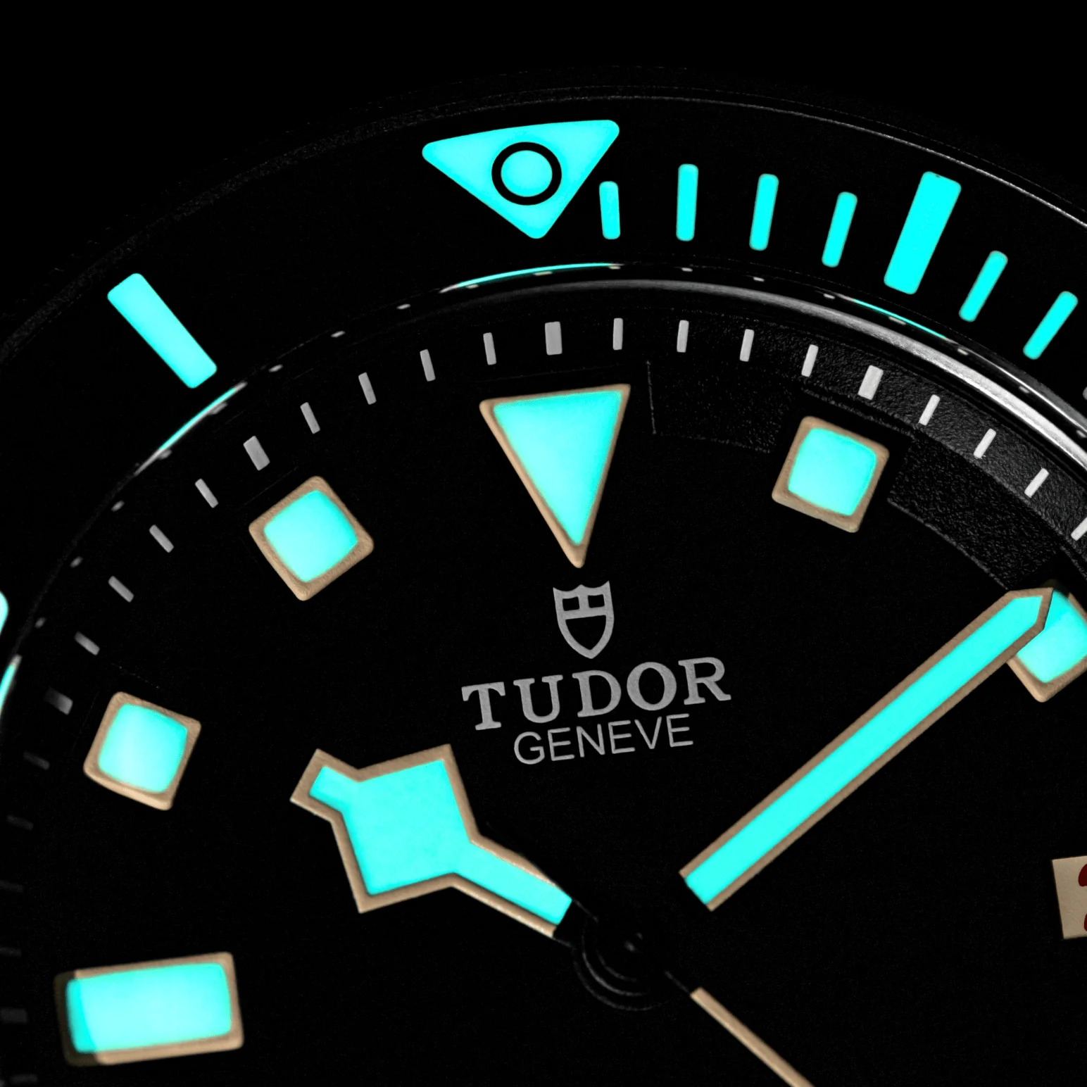 Pelagos LHD Titanium 42mm - Black on Bracelet w/ Extra Rubber Strap - Image 6