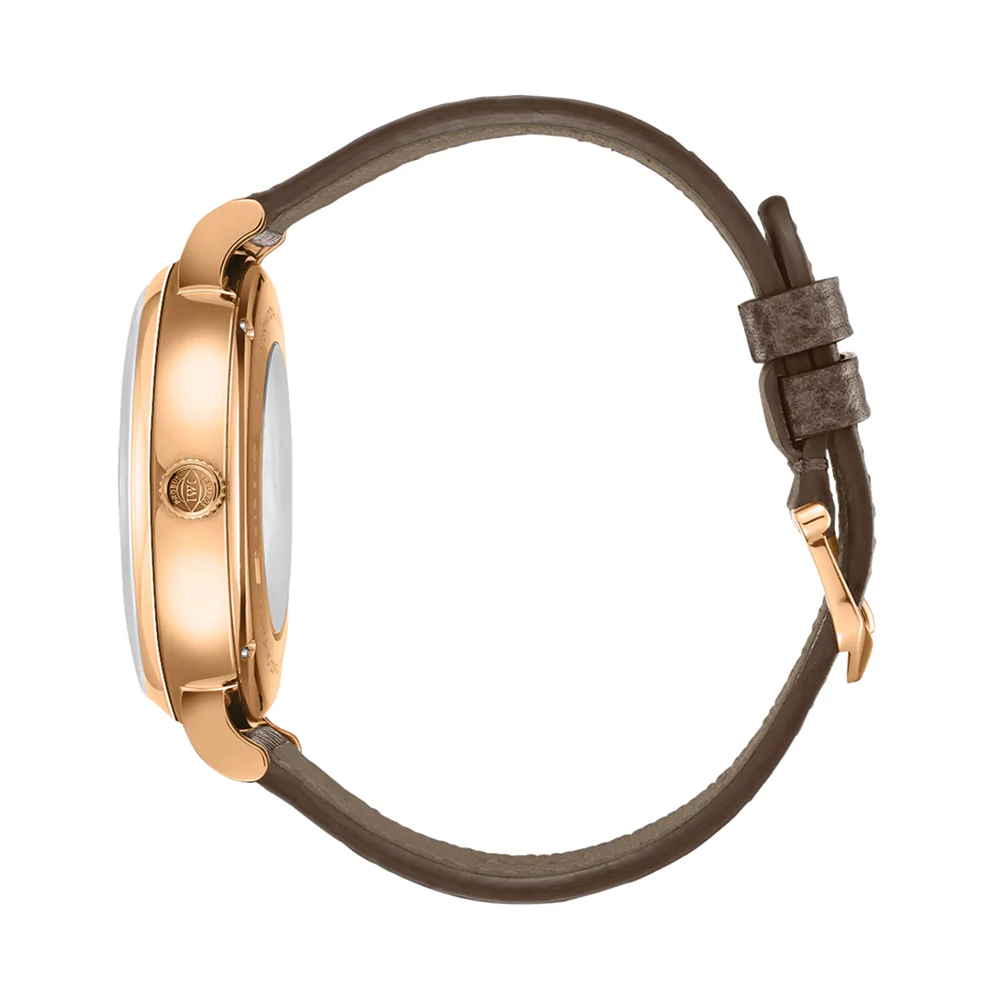 Portofino Complete Calendar 18K 5N Gold Case 41mm - Silver-Plated on Leather Strap - Image 5