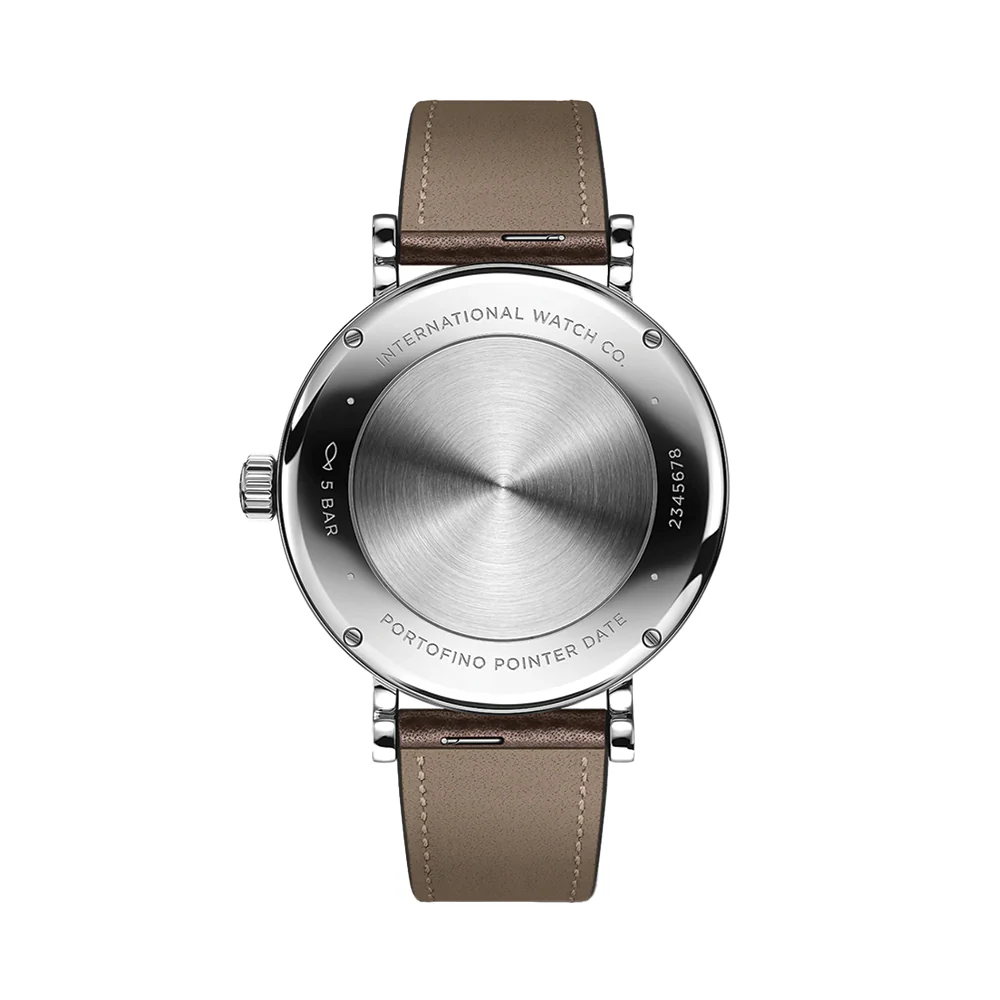 Portofino Pointer Date 39mm - Silver-Plated on Leather Strap - Image 3