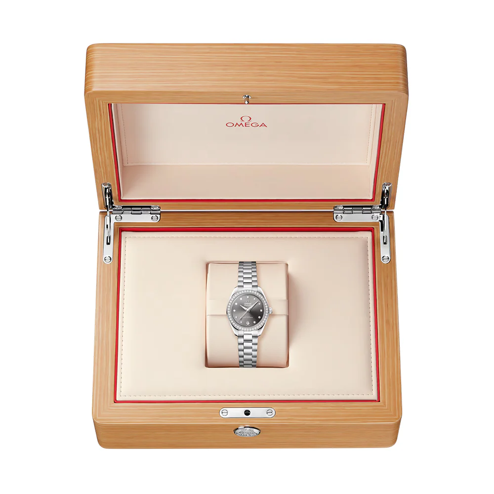 Seamaster Aqua Terra 150M Diamonds 30mm - Grey on Bracelet - Image 9