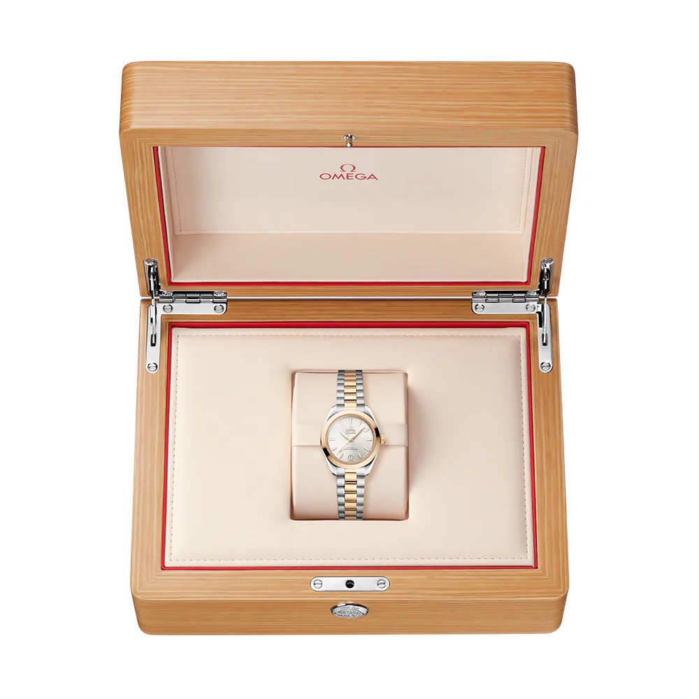 Seamaster Aqua Terra 150M Two-Tone 30mm - Silver on Bracelet - Image 10