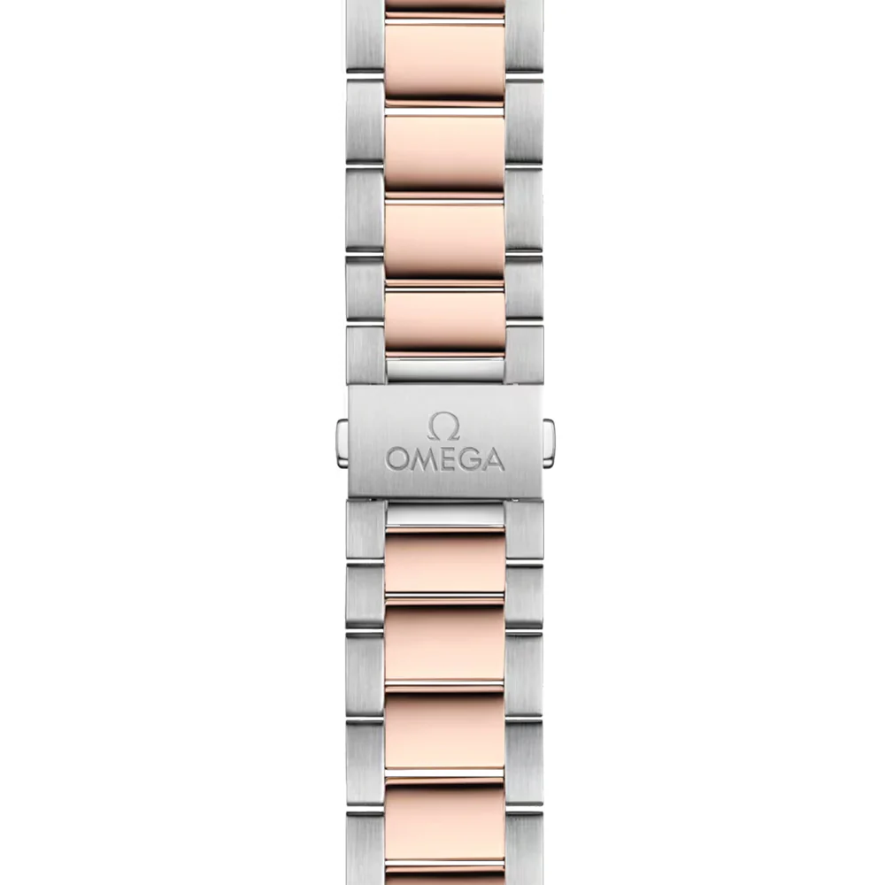 Seamaster Aqua Terra 150M Steel and Sedna™ Gold 38mm ‑ Silver on Bracelet - Image 2