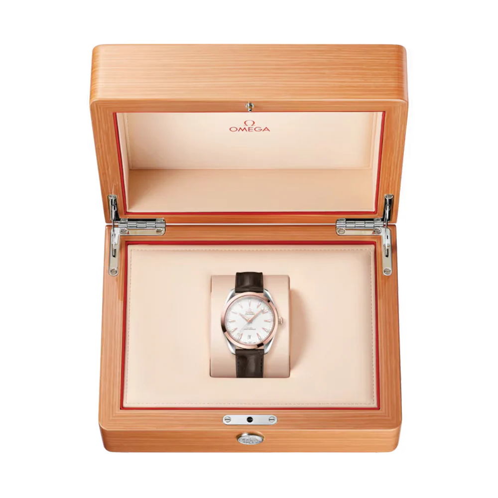 Seamaster Aqua Terra 150M Steel and Sedna™ Gold 41mm - Silver on Leather Strap - Image 2