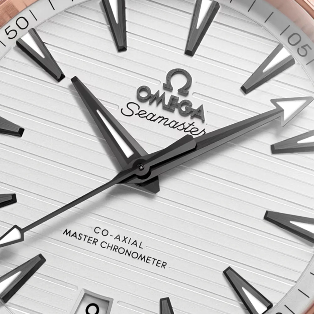 Seamaster Aqua Terra 150M Steel and Sedna™ Gold 41mm - Silver on Rubber Strap - Image 4