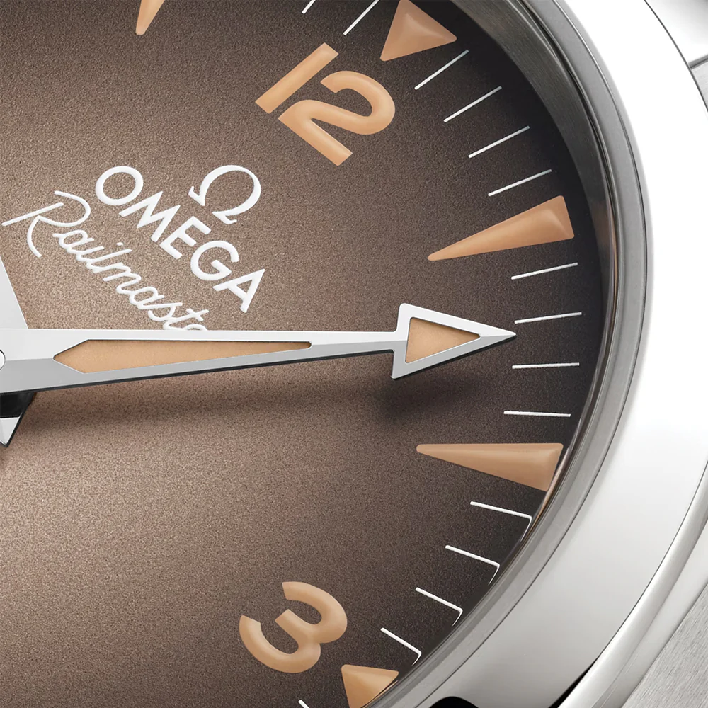 Seamaster Railmaster 38mm - Brown on Bracelet - Image 3