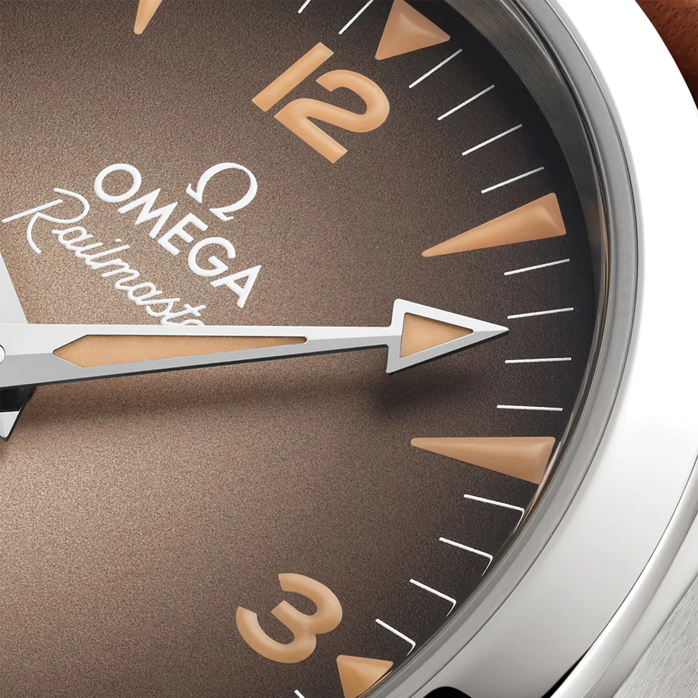 Seamaster Railmaster 38mm - Brown on Leather Strap - Image 4