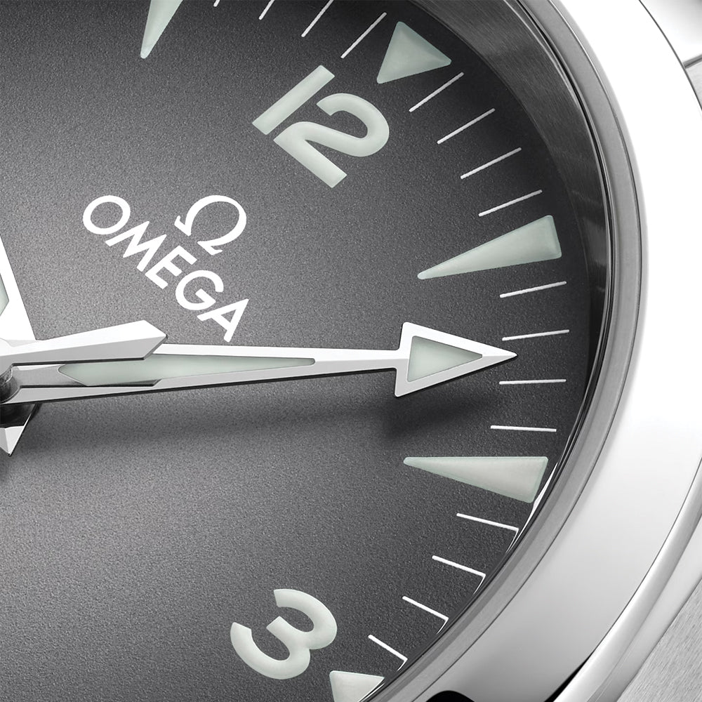 Seamaster Railmaster 38mm - Grey on Bracelet - Image 4