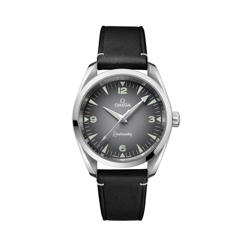 Seamaster Railmaster 38mm - Grey on Leather Strap