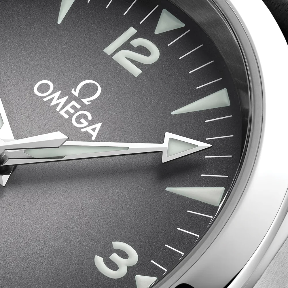 Seamaster Railmaster 38mm - Grey on Leather Strap - Image 3