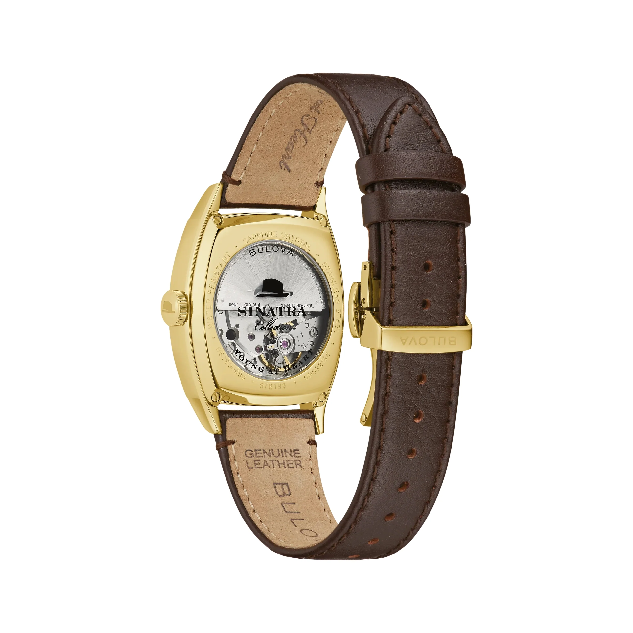 Young at Heart Gold-Tone 33.5mm - Brown on Leather Strap - Image 3